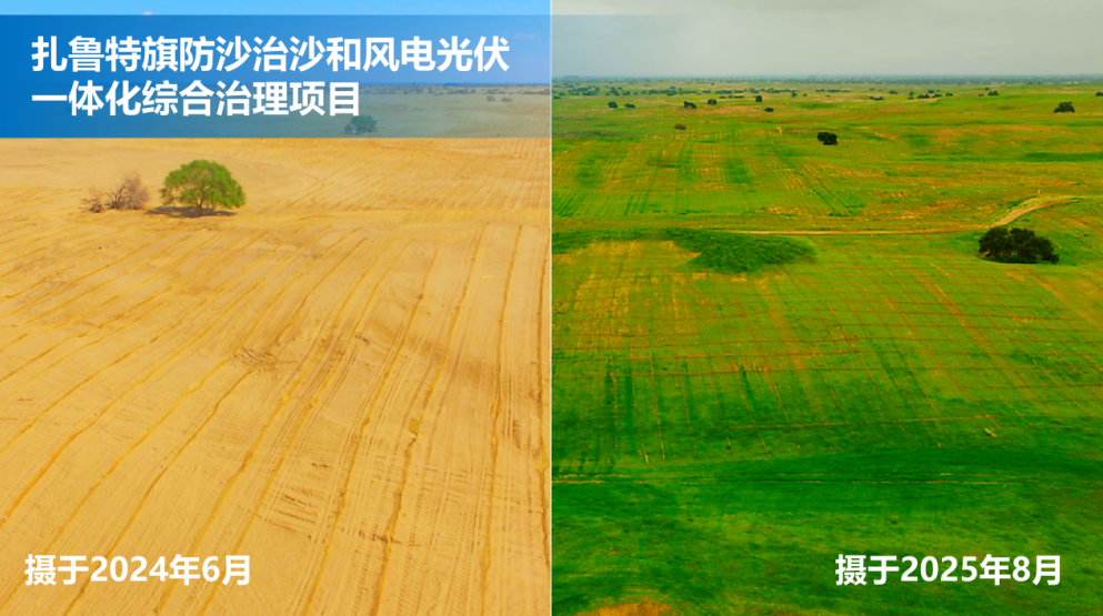 1765783070180208.png image.png