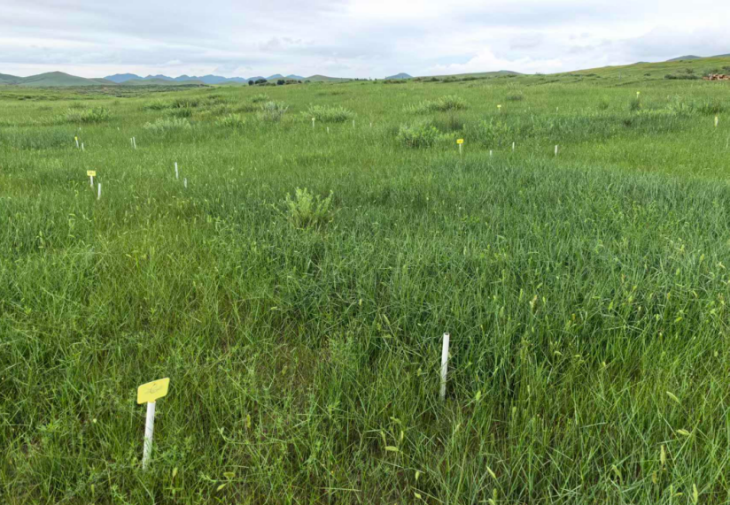 1765783091151121.png image.png