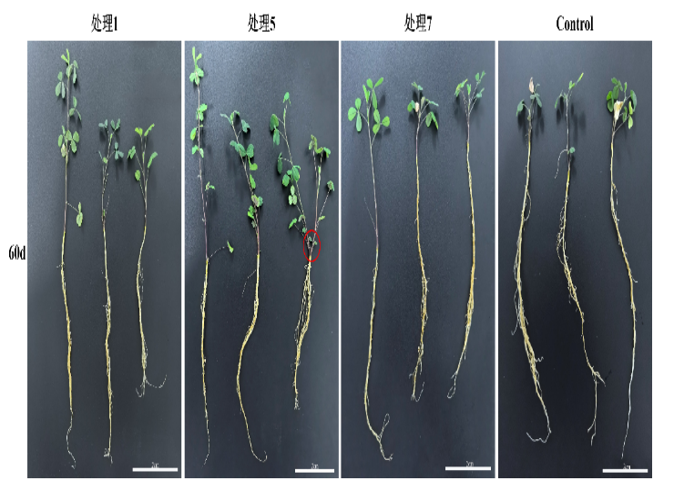 1765783124306824.png image.png