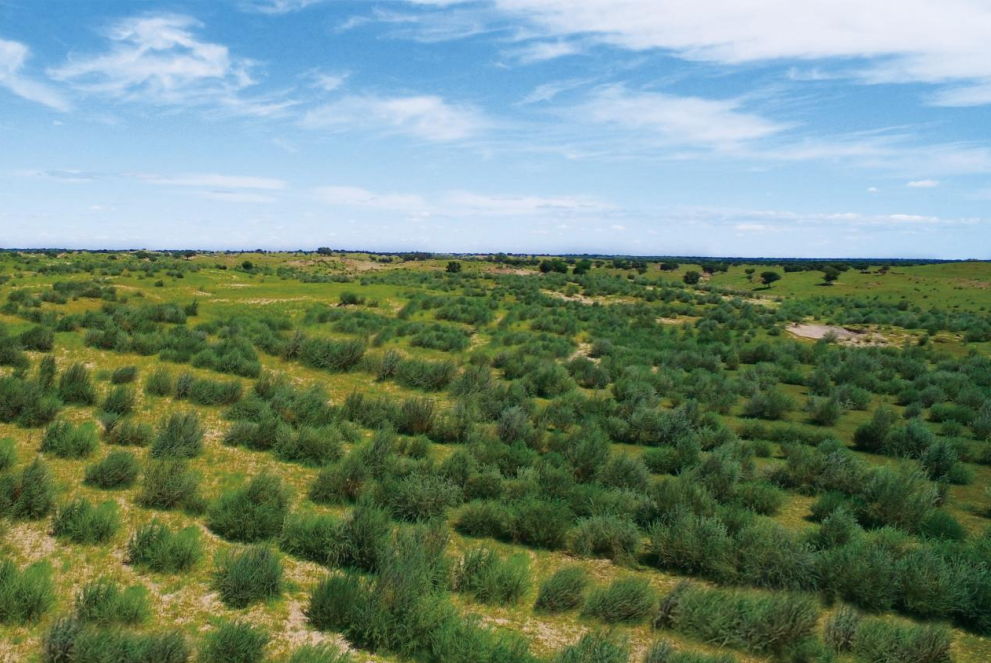 1765783153960402.png image.png