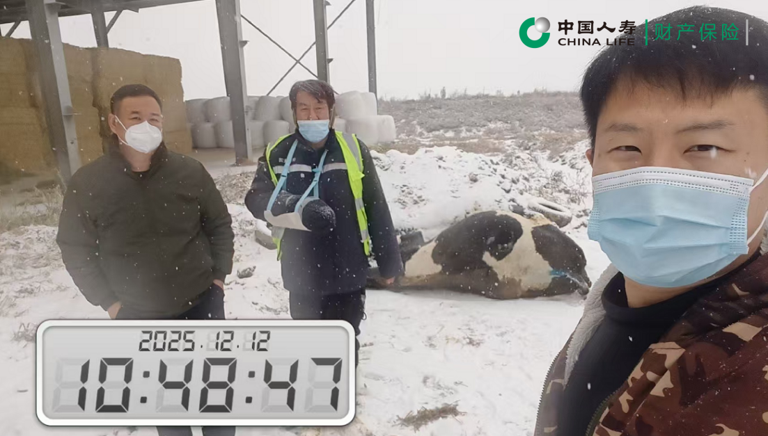 1765935804178058.png 图片2.png