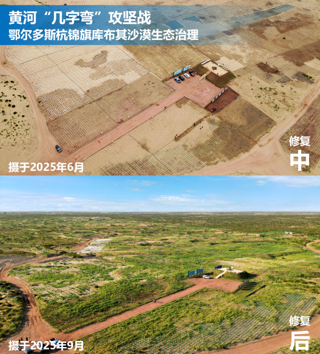 1765936937959869.png 图片5.png