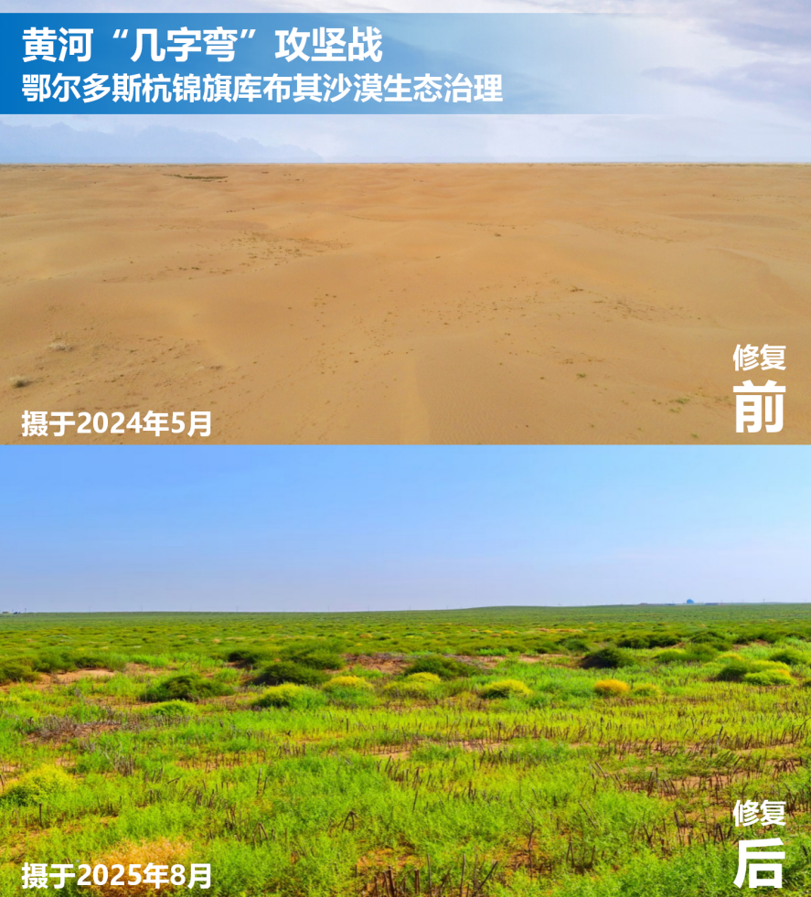 1765937364339143.png 图片7.png