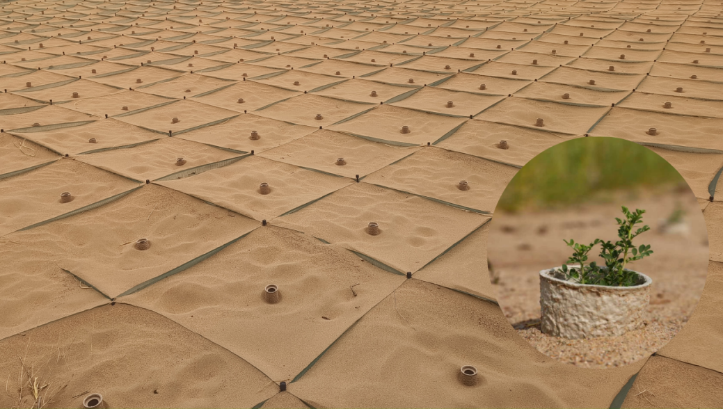 1767946552694845.png image.png