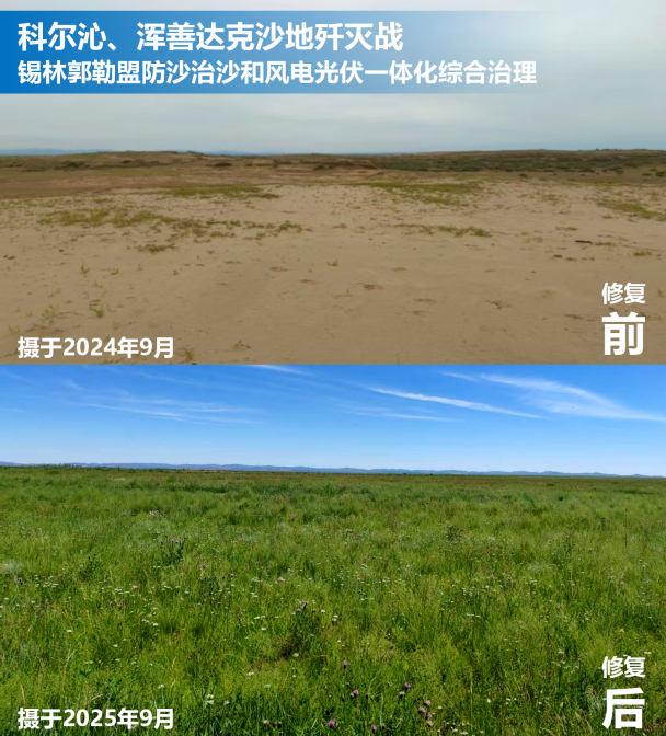 1770775518744218.png 图片1.png