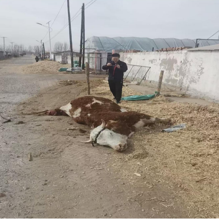 1771925737902345.png image.png