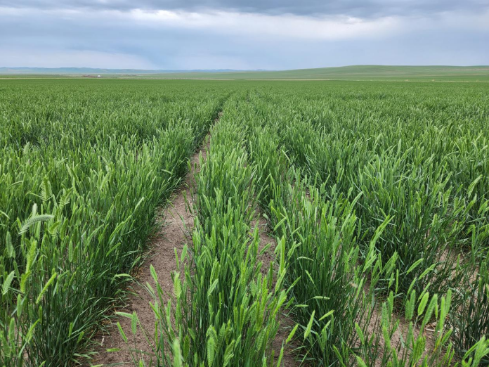 1774510253112786.png image.png