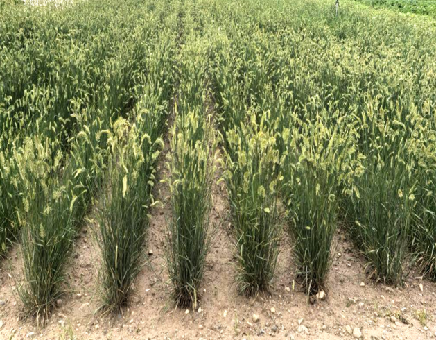 1774510359150677.png image.png