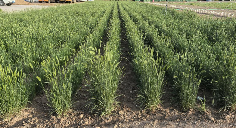 1774510468343219.png image.png