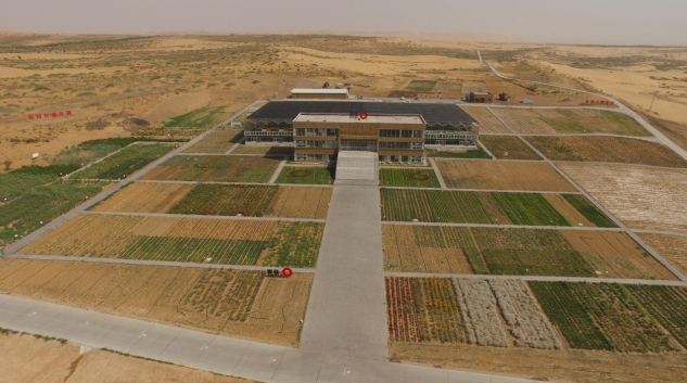 1774580034735053.png image.png