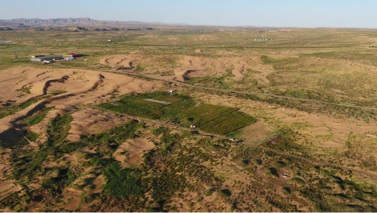 1774580062214670.png image.png