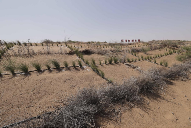 1774580126898469.png image.png