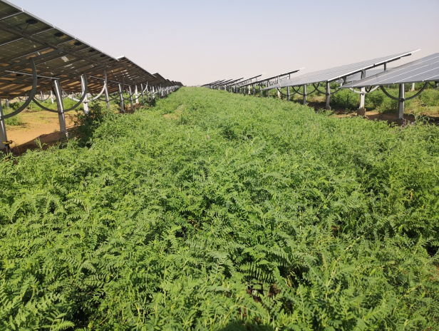 1774580143794331.png image.png