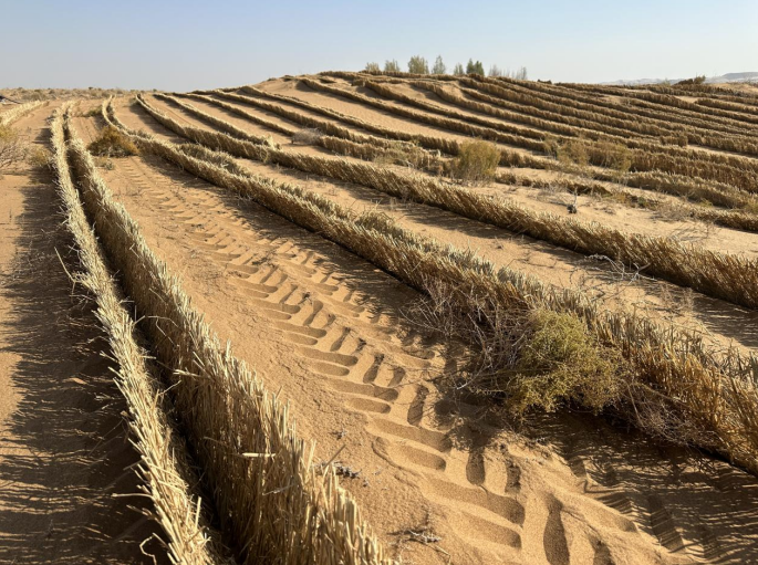 1774580165143755.png image.png