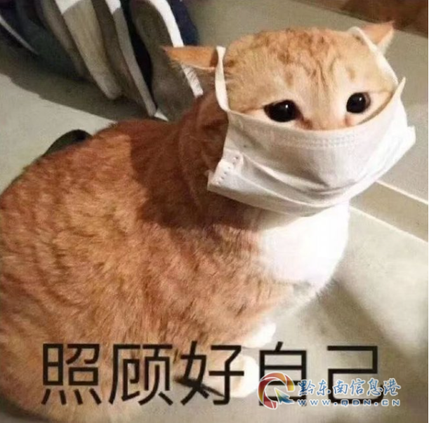 1779153346574444.png image.png